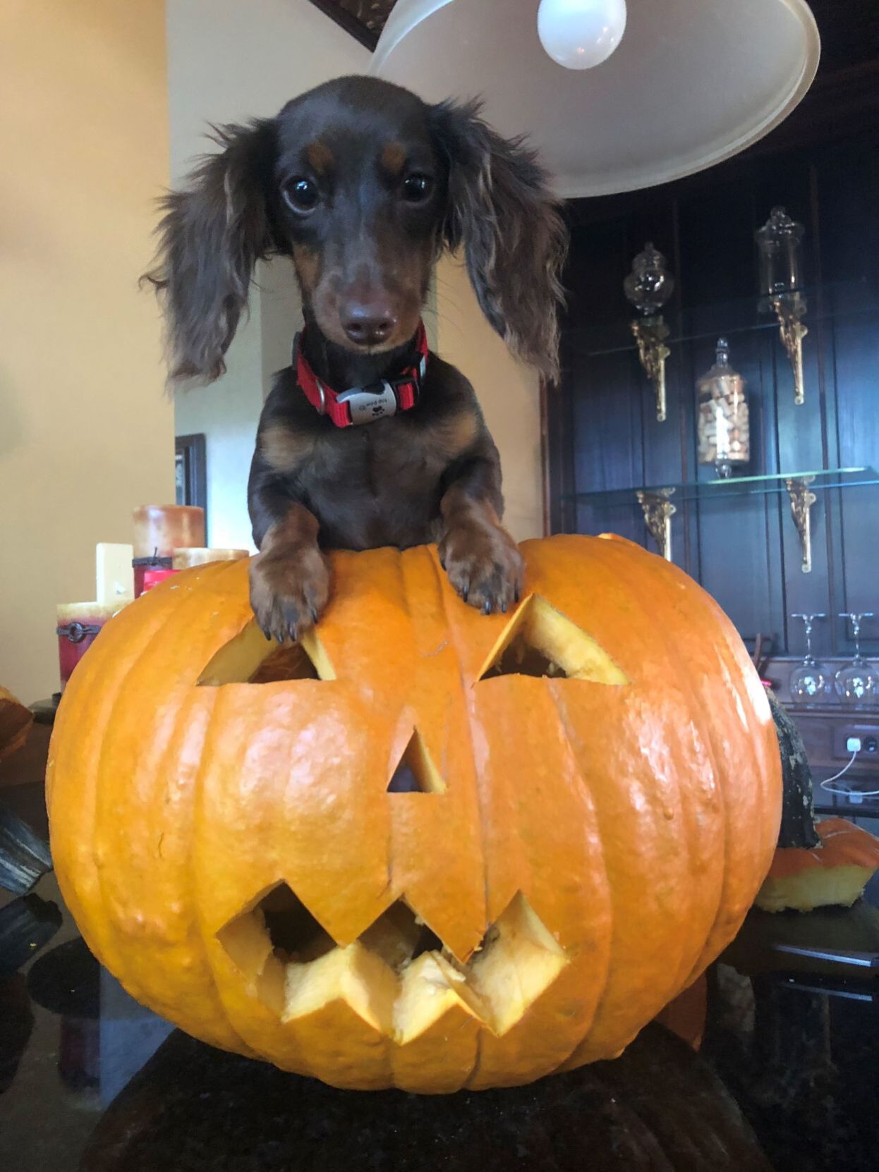 Penelope
